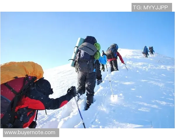 重庆极限运动队的挑战与突破：一段勇敢追梦的纪实旅程