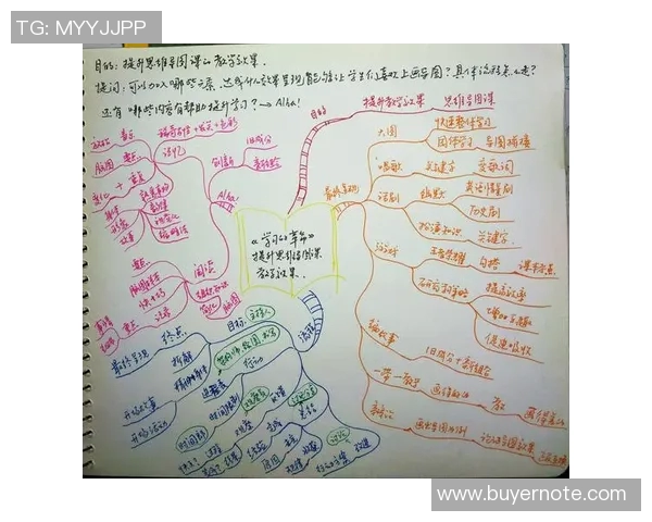 飞盘与梦想的交汇点：刘敏的深度对话与人生启示