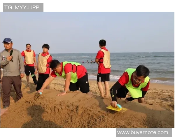 北京足球队团队协作的力量与智慧探讨