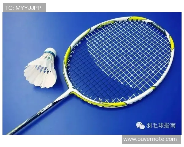 成都羽毛球队阵地战体系解析与战术应用研究 成都羽毛球队阵地战体系解析与战术应用研究