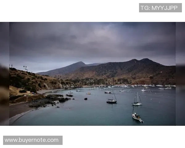 足球明星魅力四射壁纸精选集让你尽享视觉盛宴 足球明星魅力四射壁纸精选集让你尽享视觉盛宴