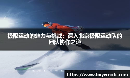 极限运动的魅力与挑战：深入北京极限运动队的团队协作之道